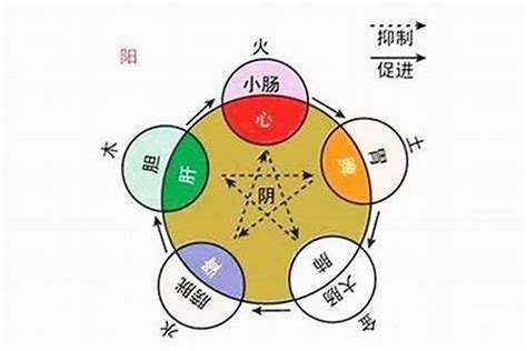 五行八字怎麼看|怎么看自己的八字属性？